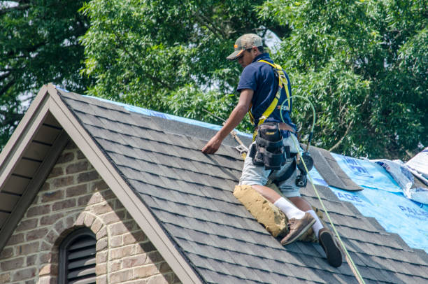 Best Emergency Roof Repair  in Lavalette, WV